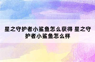 星之守护者小鲨鱼怎么获得 星之守护者小鲨鱼怎么样